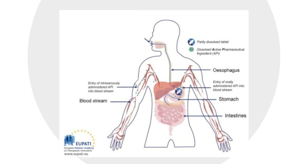 The bioavailability of oral vs injected chemicals