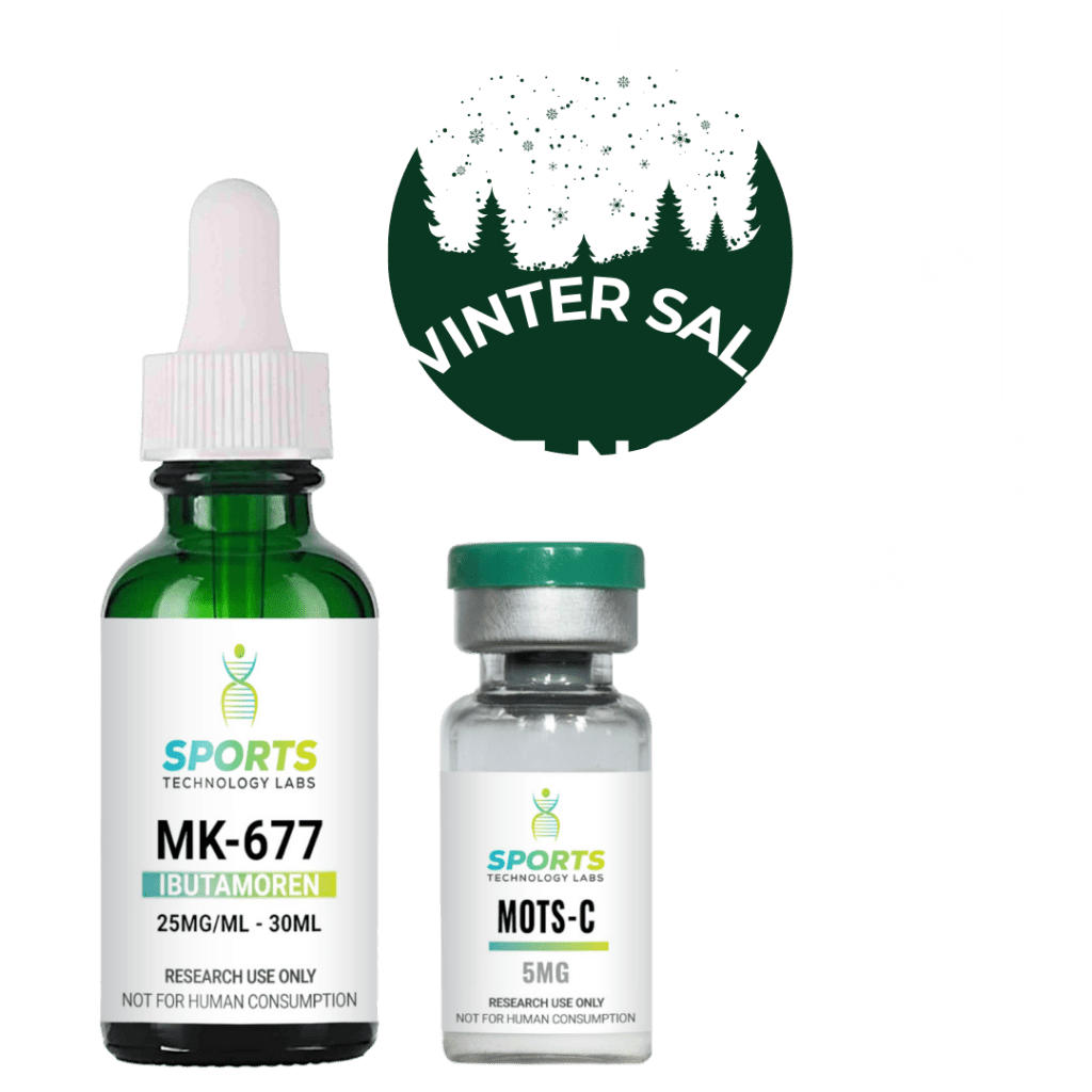 Christmas Holiday Sale Banner