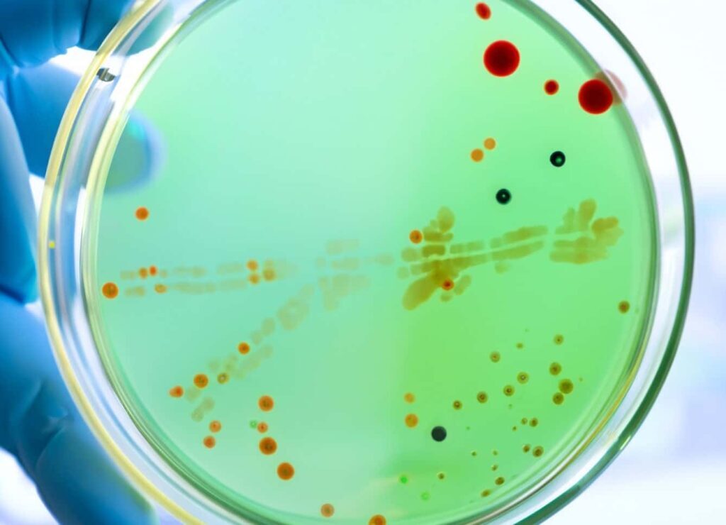 Controlled Trial with Mk-677 Ibutamoren Mesylate