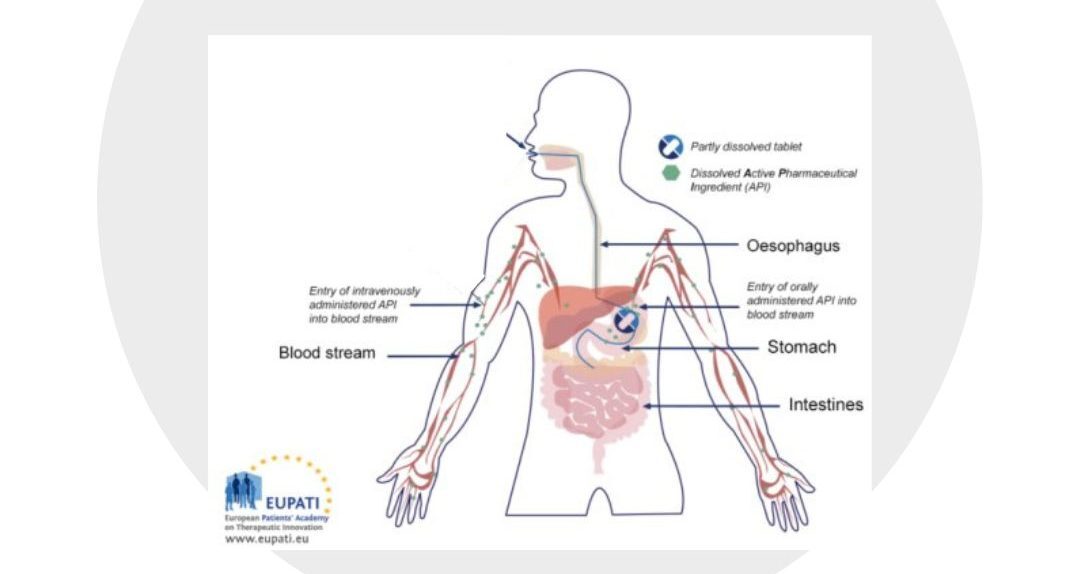 The bioavailability of oral vs injected chemicals